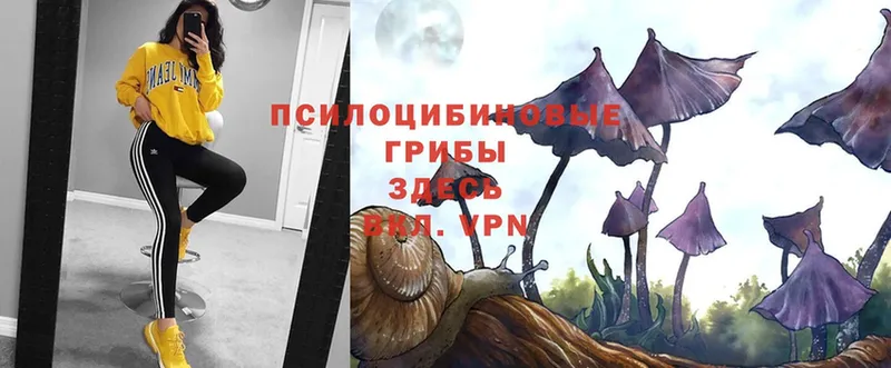 Галлюциногенные грибы Magic Shrooms  магазин продажи   Алзамай 